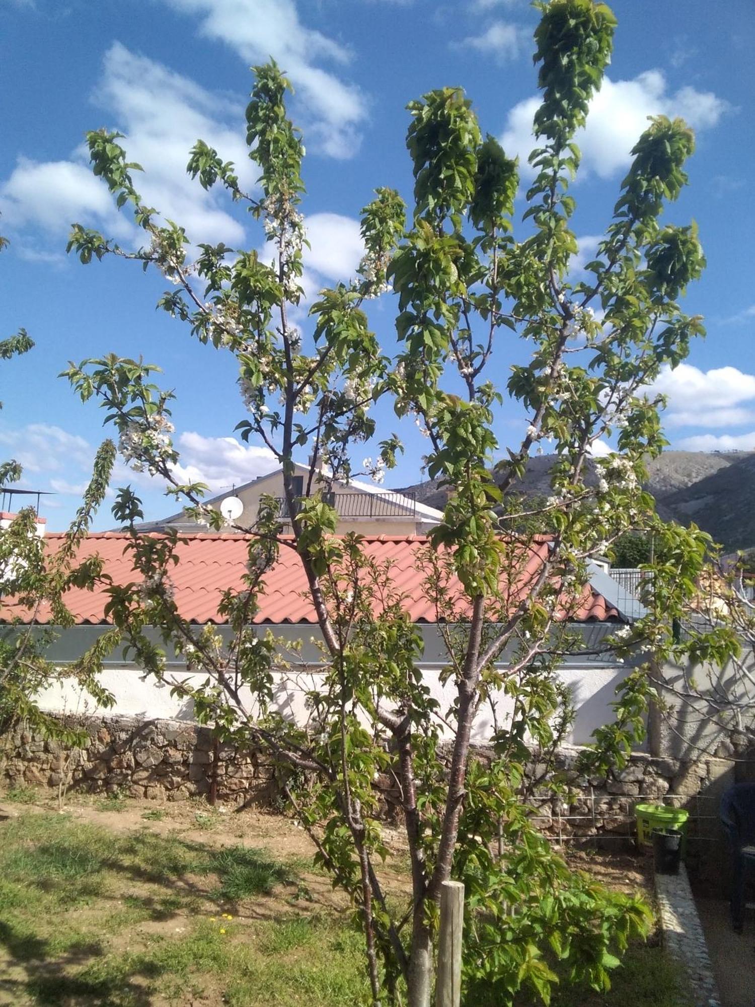 Guesthouse Martina เซนญ์ ภายนอก รูปภาพ